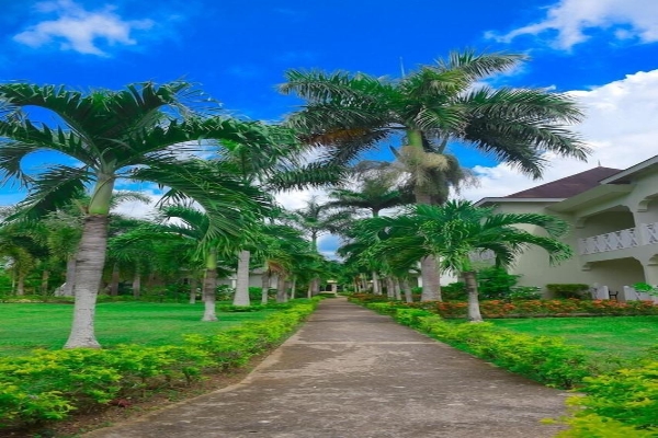 Hotel Coral Seas Beach Resort (Whitehall)